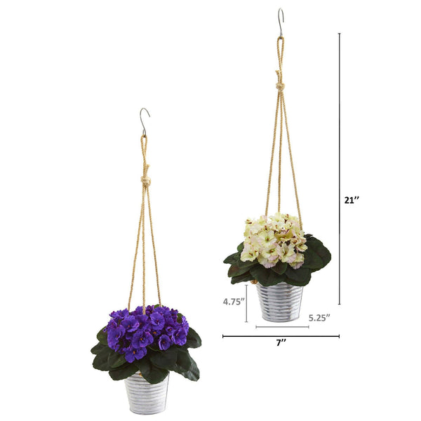 21” African Violet Plant in Hanging Bucket (Set of 2)