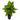 21” Dieffenbachia Artificial Plant in Black Planter