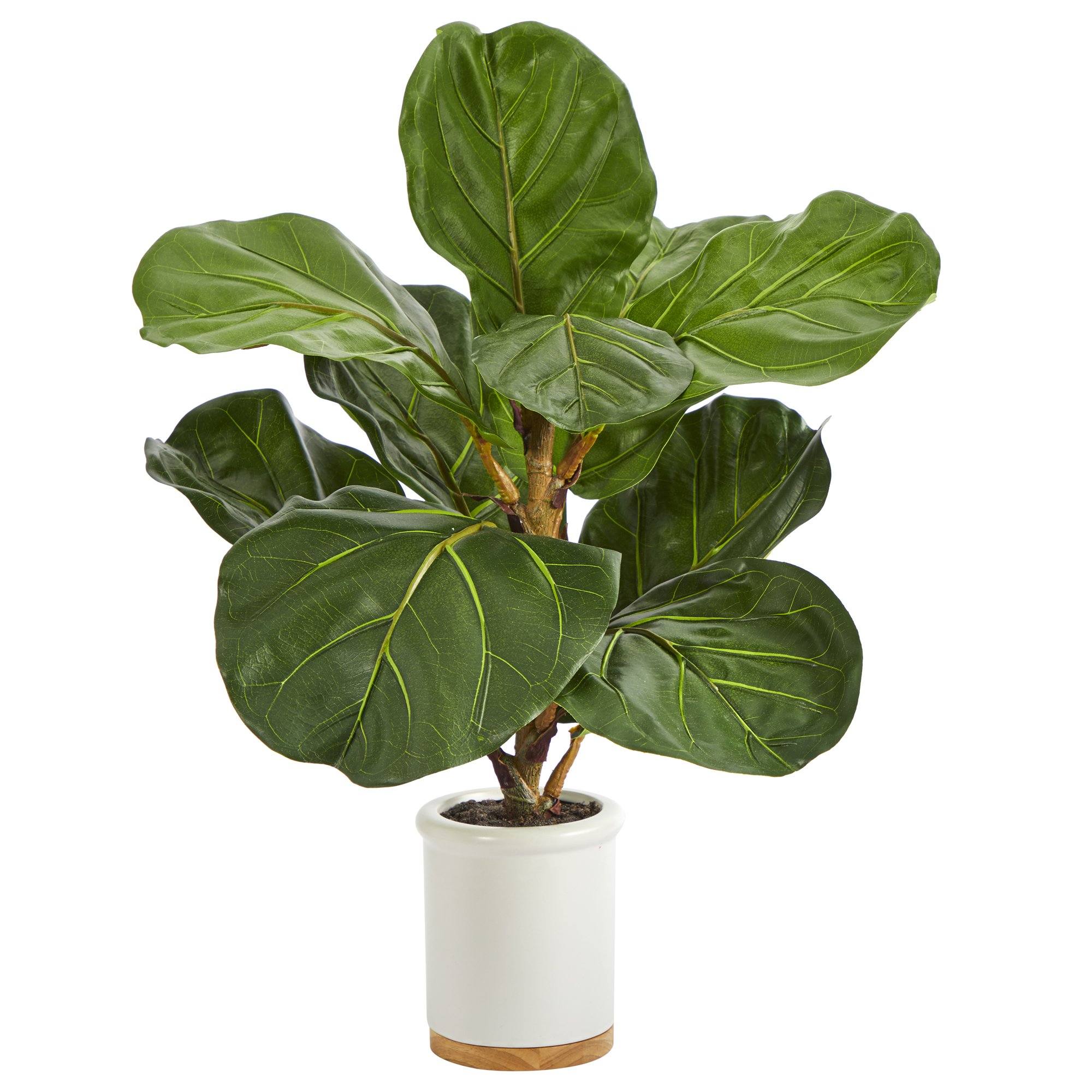 21” Fiddle Leaf Artificial Tree in White Ceramic Planter | Nearly