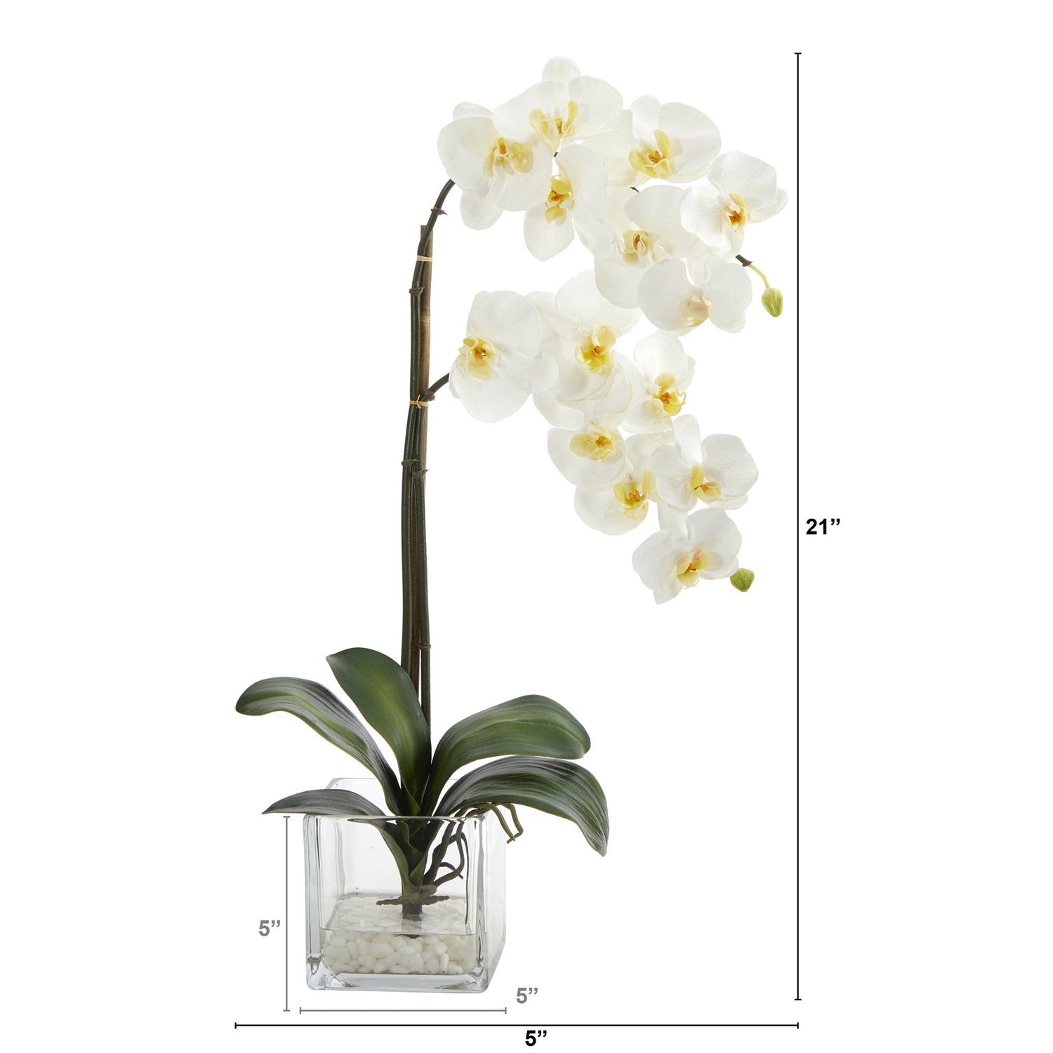 21” Phalaenopsis Orchid Artificial Arrangement in Glass Vase