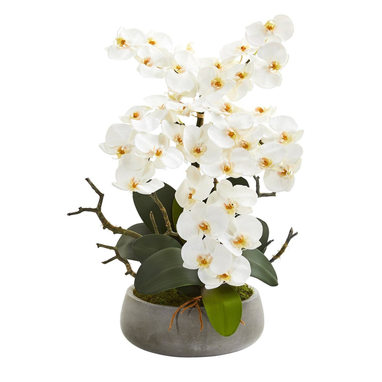 21” Phalaenopsis Orchid Artificial Arrangement in Gray Vase