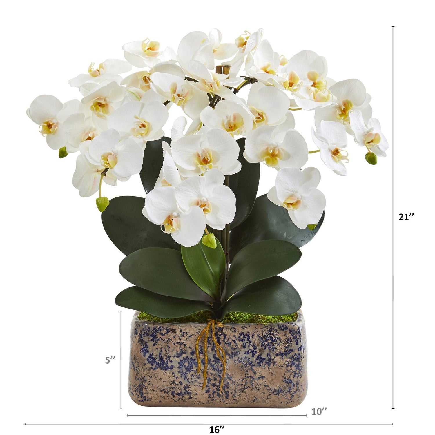 21” Phalaenopsis Orchid Artificial Arrangement in Vintage Vase