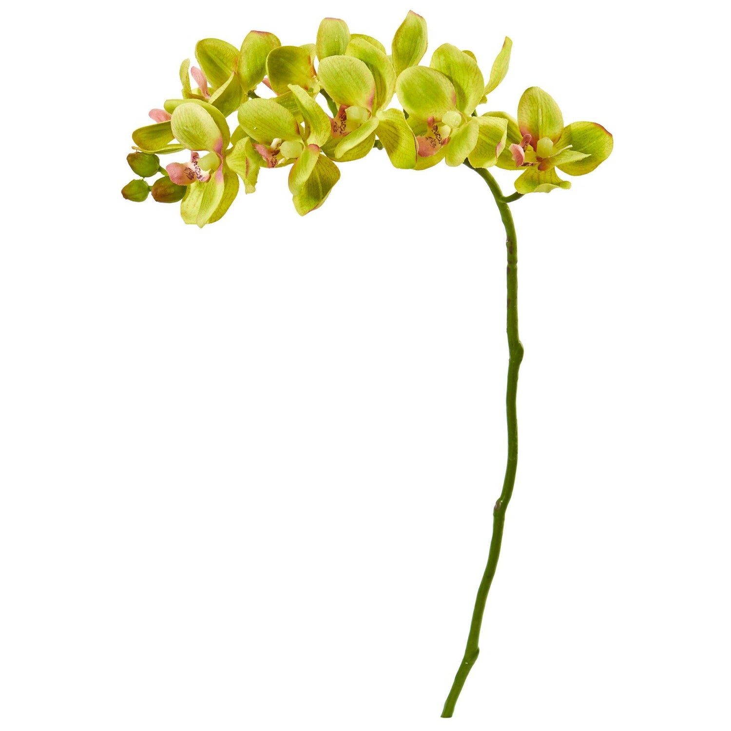Artificial Orchids, Silk Orchids