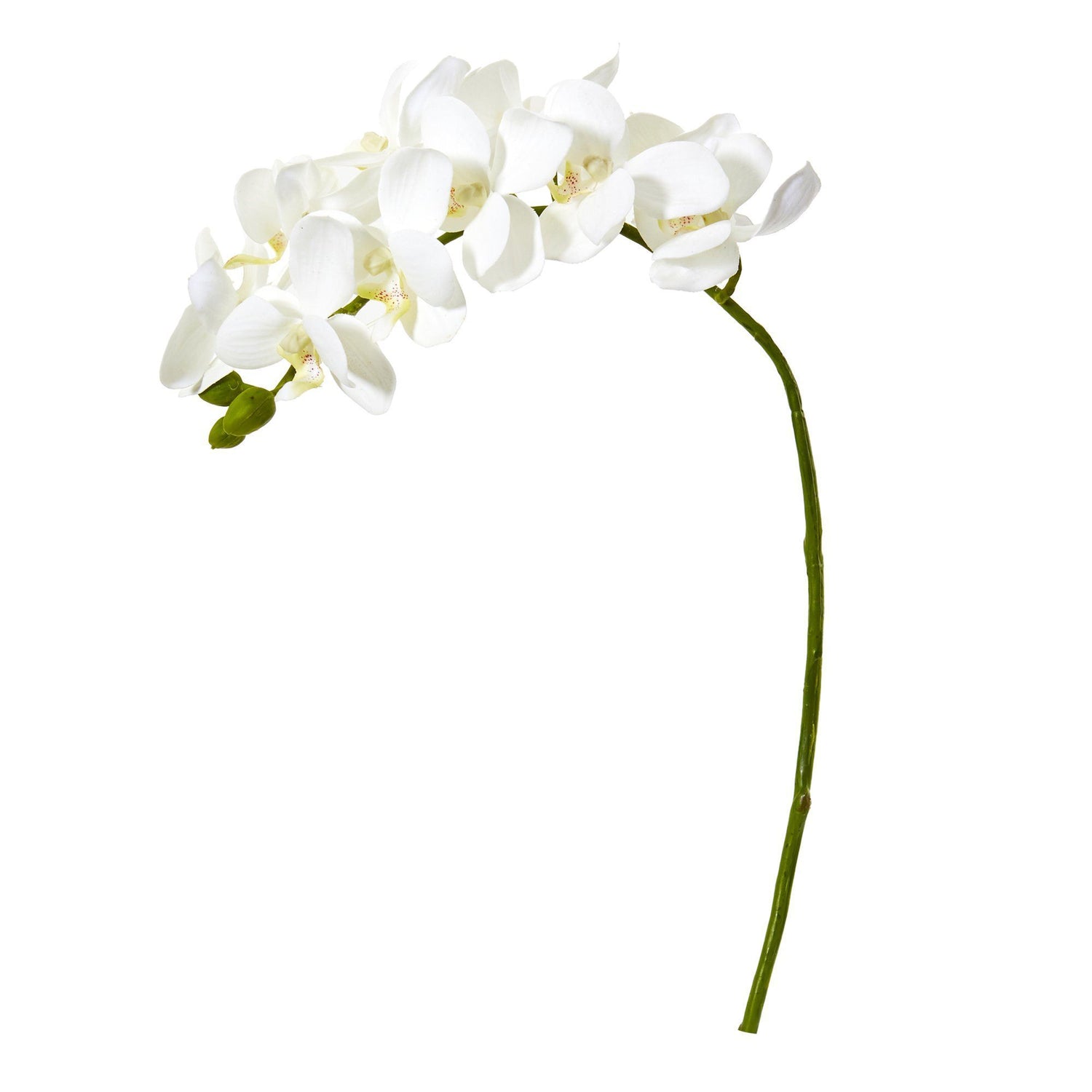 21” Artificial Phalaenopsis Orchid Flower (Set of 6)