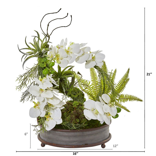21” Phalaenopsis Orchid, Succulent and Fern Artificial Arrangement in Metal Tray