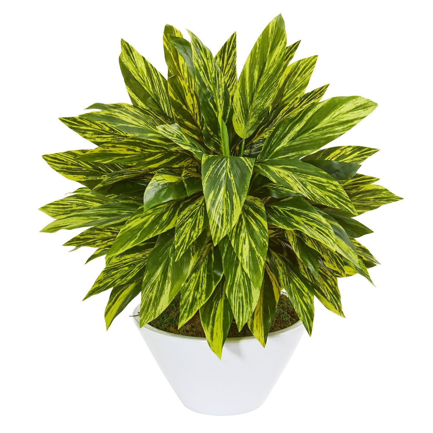 21” Tradescantia Artificial Plant in White Vase (Real Touch)