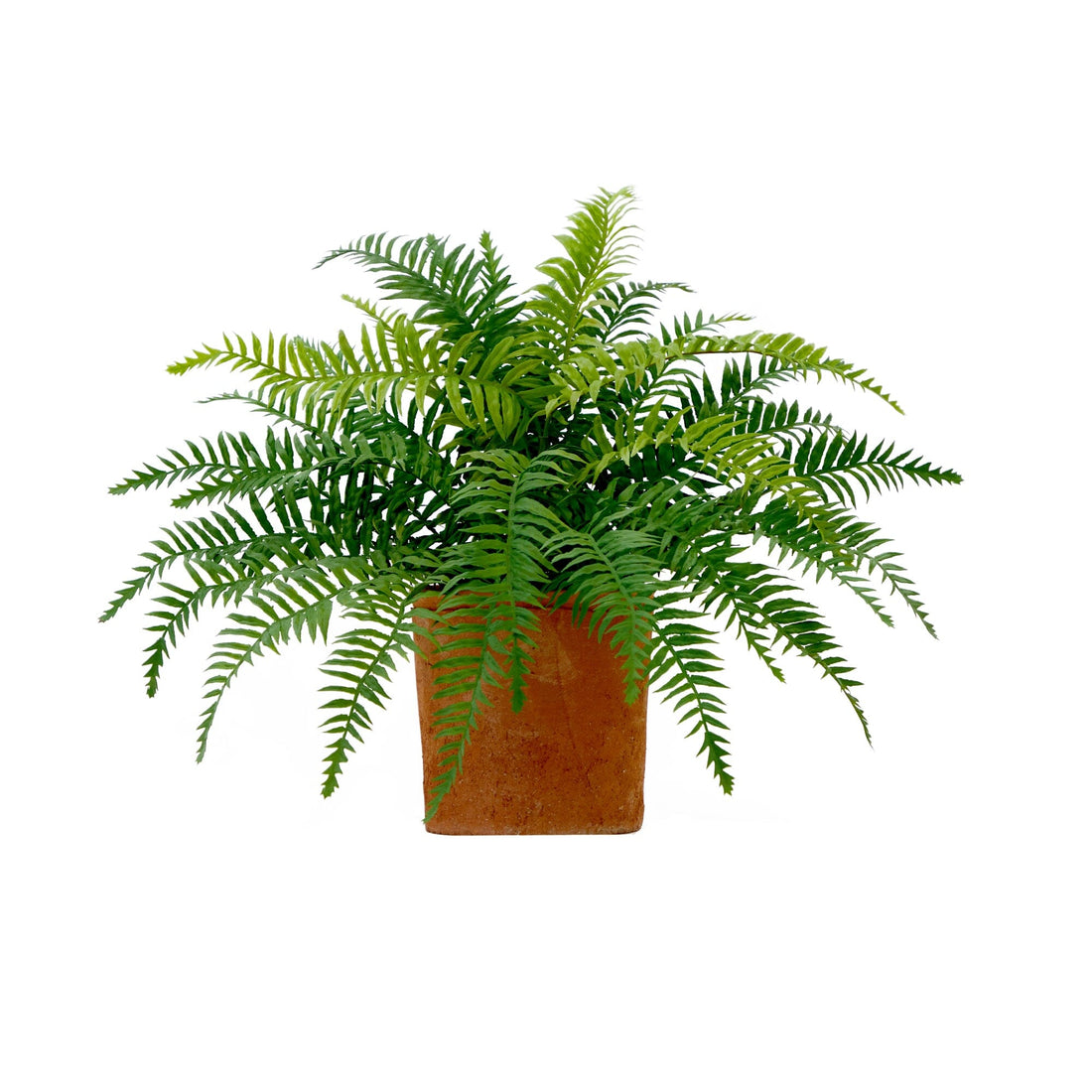 amazon pot plant 22” Artificial Fern Plant in Decorative Planter