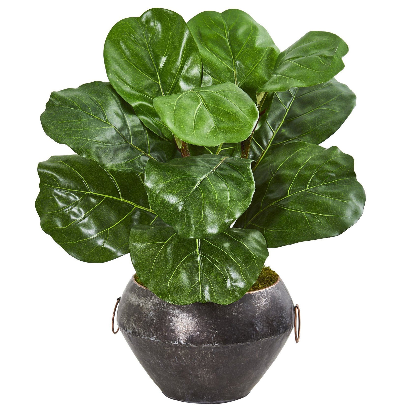 22” Fiddle Leaf Artificial Plant in Decorative Planter Nearly Natural