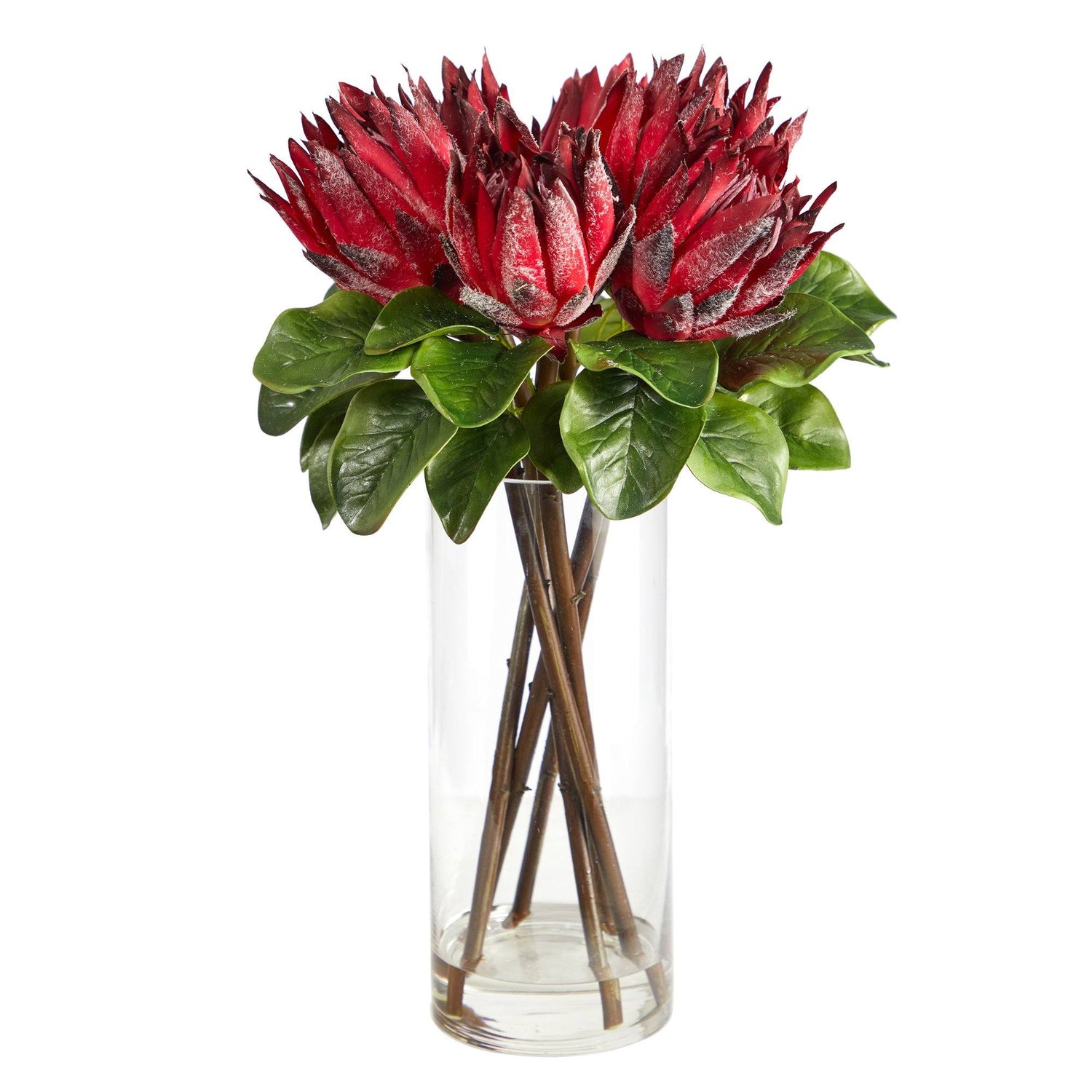22” King Protea Artificial Arrangement in Glass Vase