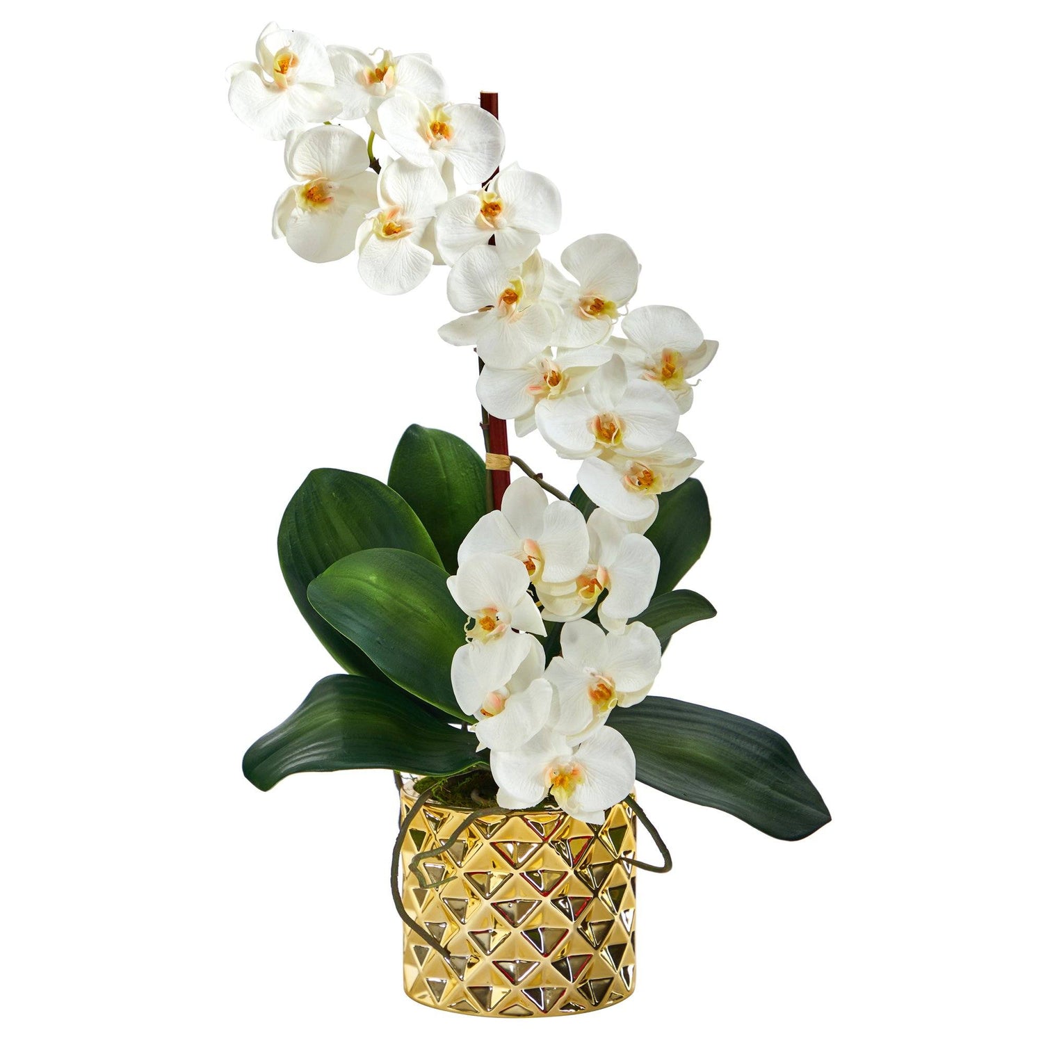 22” Phalaenopsis Orchid Artificial Arrangement in Gold Vase