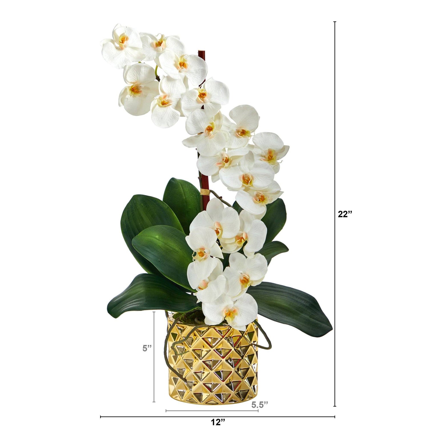 22” Phalaenopsis Orchid Artificial Arrangement in Gold Vase