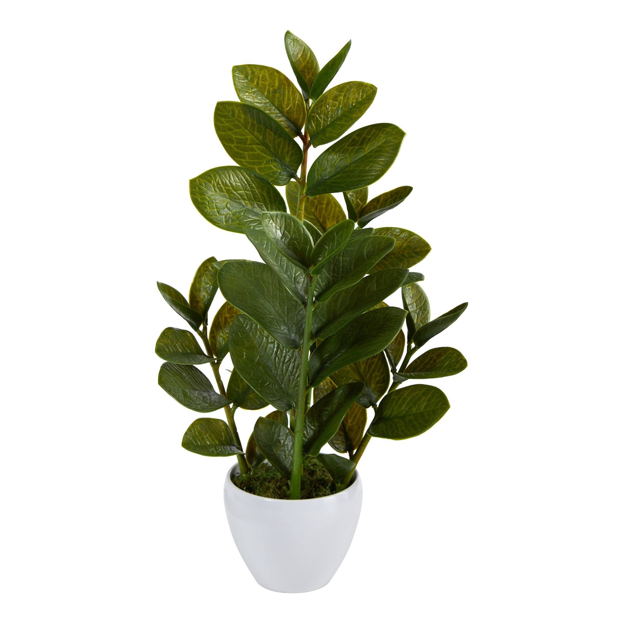 Nokko plants artificial-22-zamioculcas-