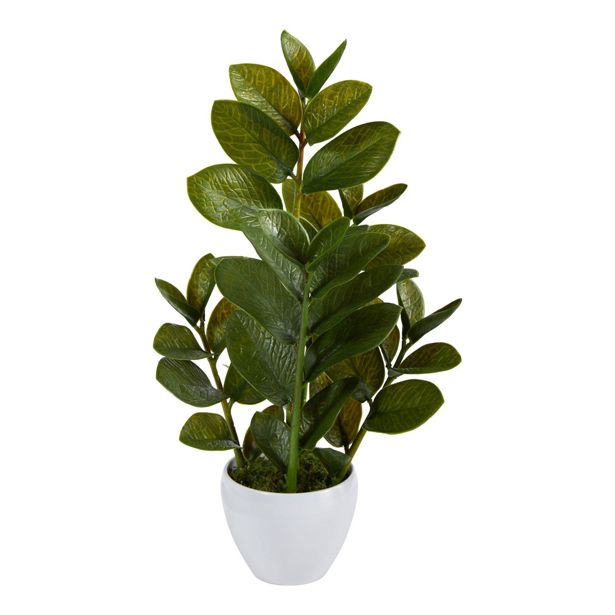 artificial zz plants Nearly Natural 22 in. Artificial Zamioculcas Plant in White Planter