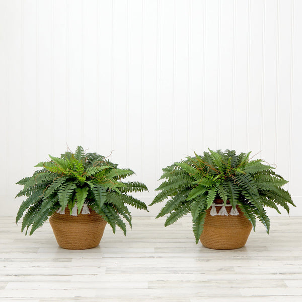 23” Artificial Boston Fern Plant with Handmade Jute & Cotton Basket with Tassels DIY KIT - Set of 2