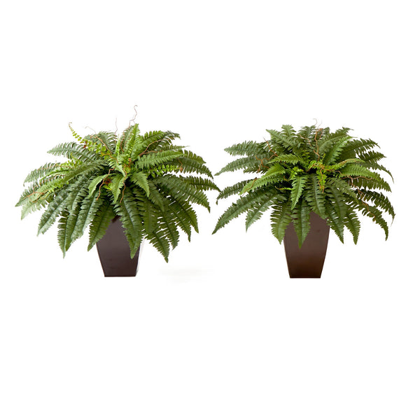 23” Artificial Boston Fern Plant with Tapered Bronze Square Metal Planter DIY KIT - Set of 2