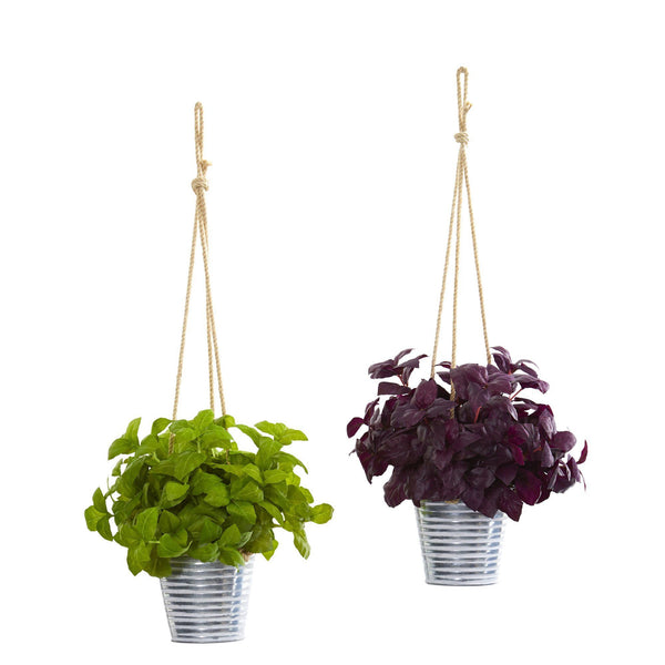 23” Basil Artificial Plant in Hanging Bucket (Set of 2)