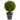 23” Boxwood Ball Topiary