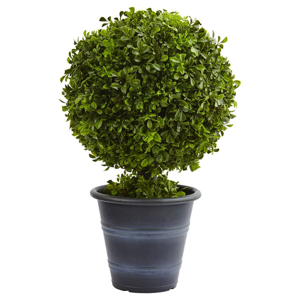 23” Boxwood Ball Topiary
