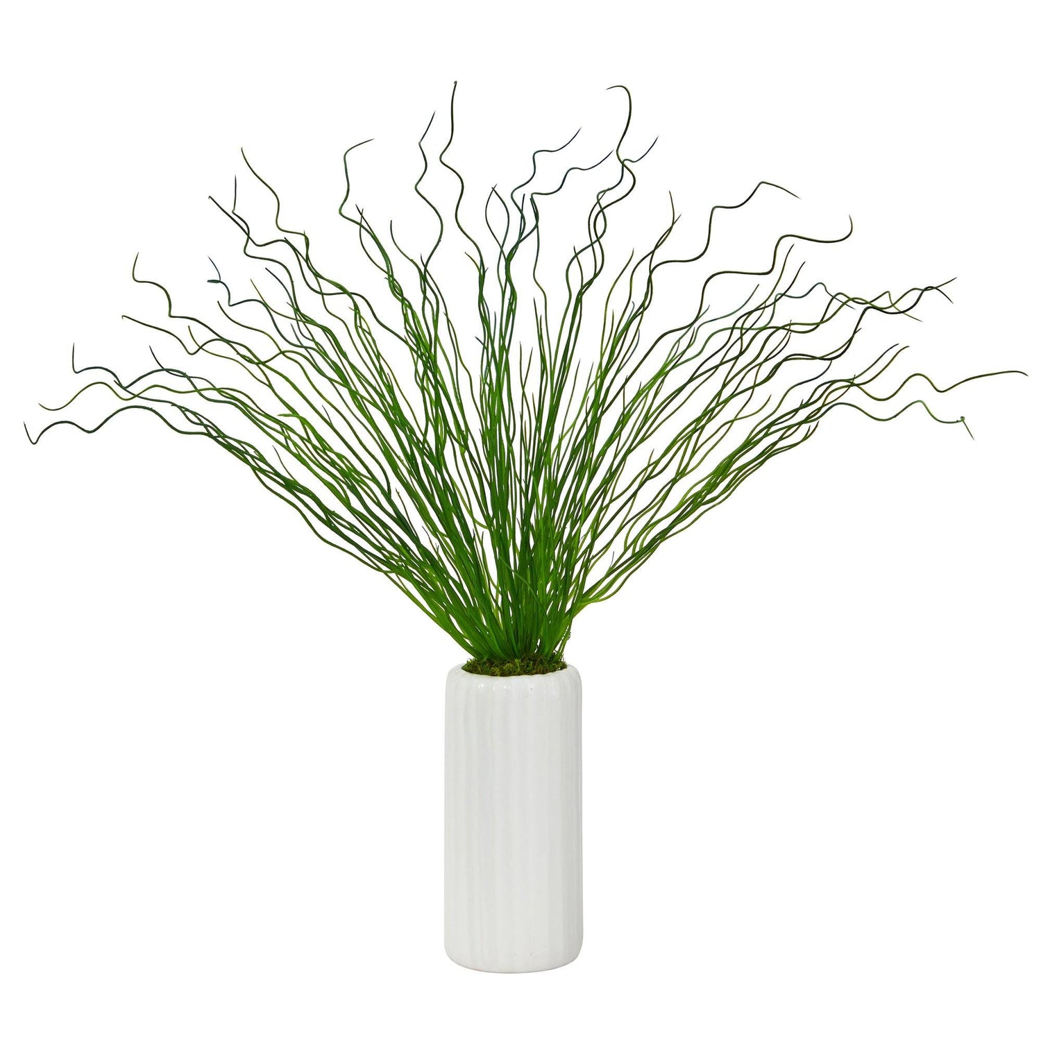 23” Curly Grass Artificial Plant in White Planter