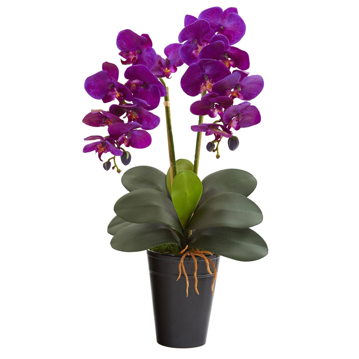 23” Double Phalaenopsis Orchid Artificial Arrangement in Vase