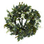 23” Mixed Greens and Dancing Lady Orchid Artificial Wreath
