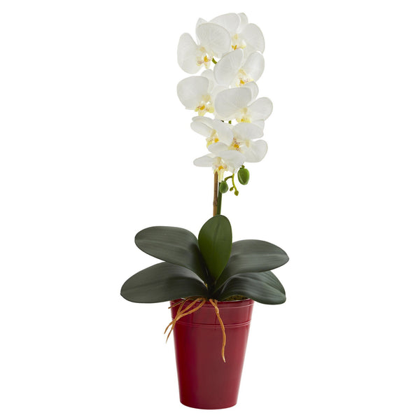 23” Phalaenopsis Orchid Artificial Arrangement in Vase