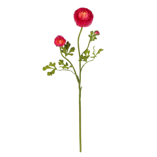 23" Ranunculus Stem (Set of 12)"