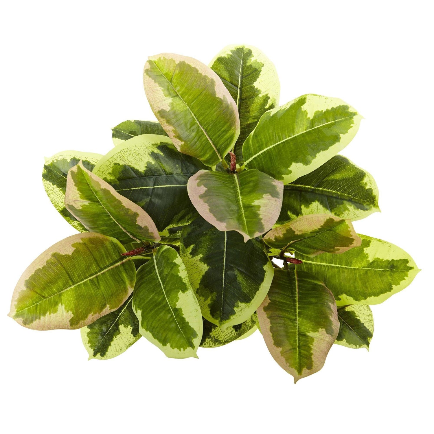 23” Rubber Leaf Artificial Plant (Real Touch) (Set of 3)