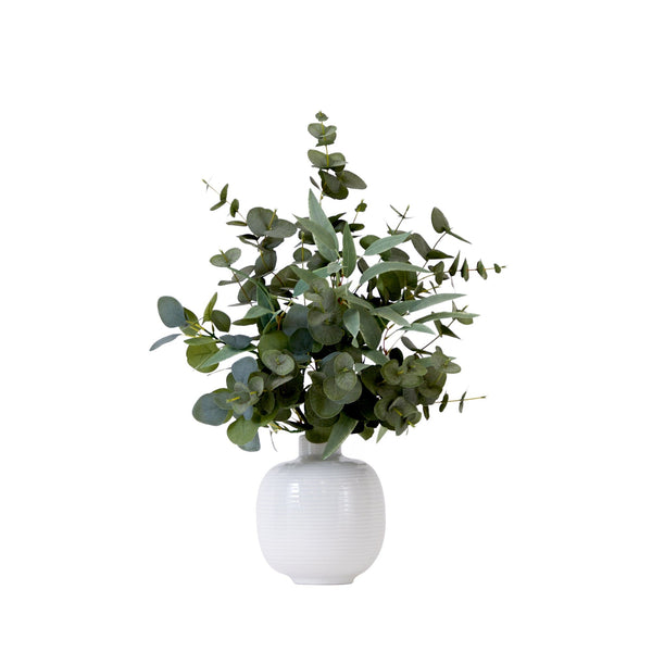 Faux Eucalyptus Arrangement With Ivory Ceramic Vase - World Market