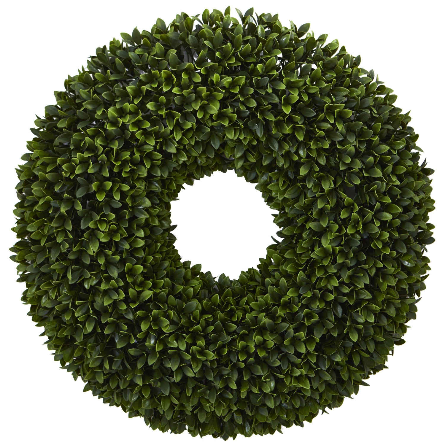 Regency Wreath Snowy Boxwood 24 in