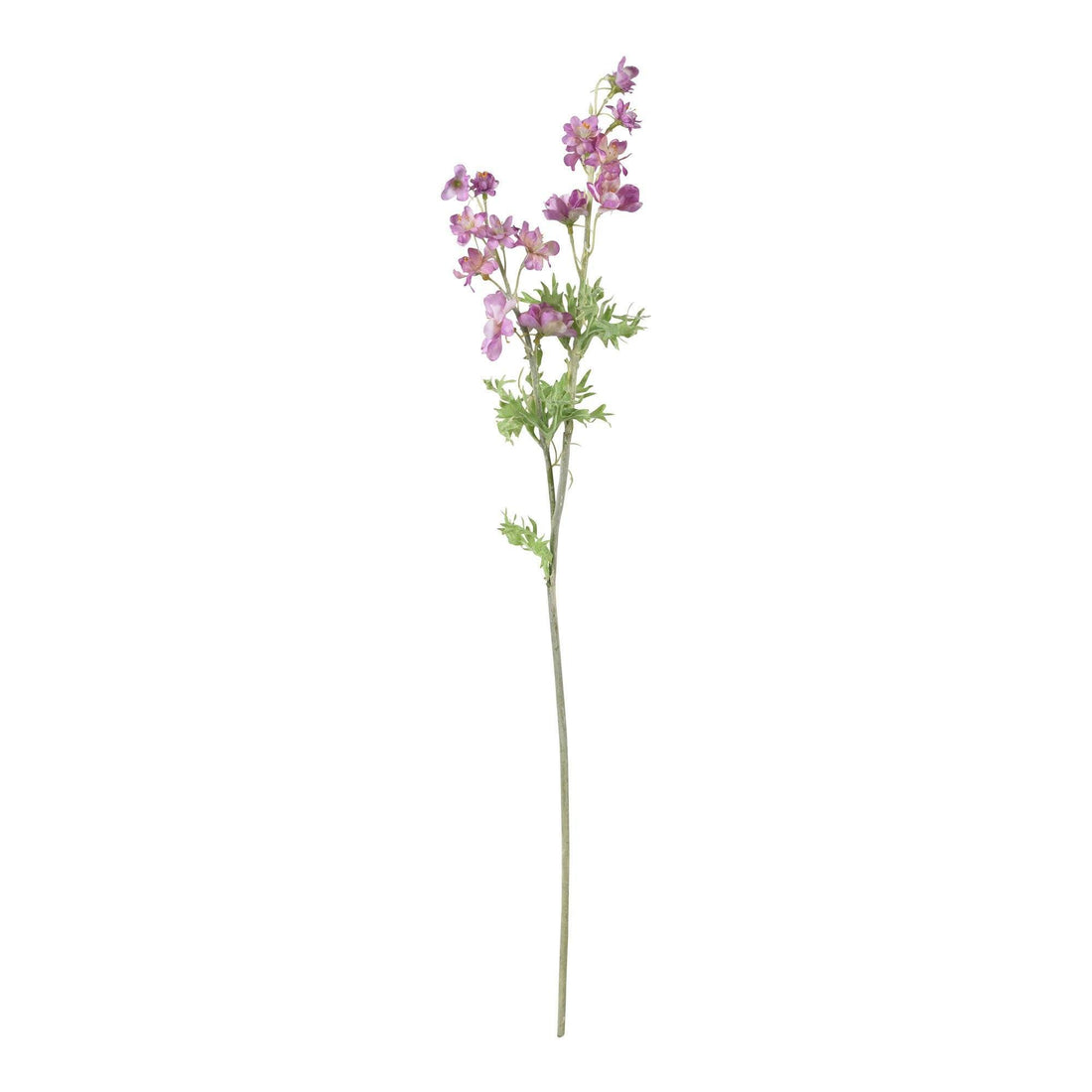 düngen von olivenbäumen Olivenbaum-Dünger von Bodenständig 1-Liter main image 1