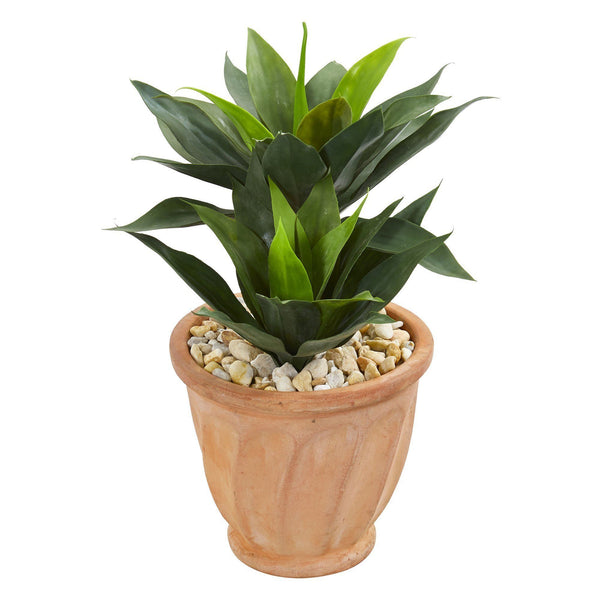 24” Double Agave Artificial Plant in Terra Cotta Planter