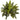 24” Holly Fern Artificial Plant (Set of 2)