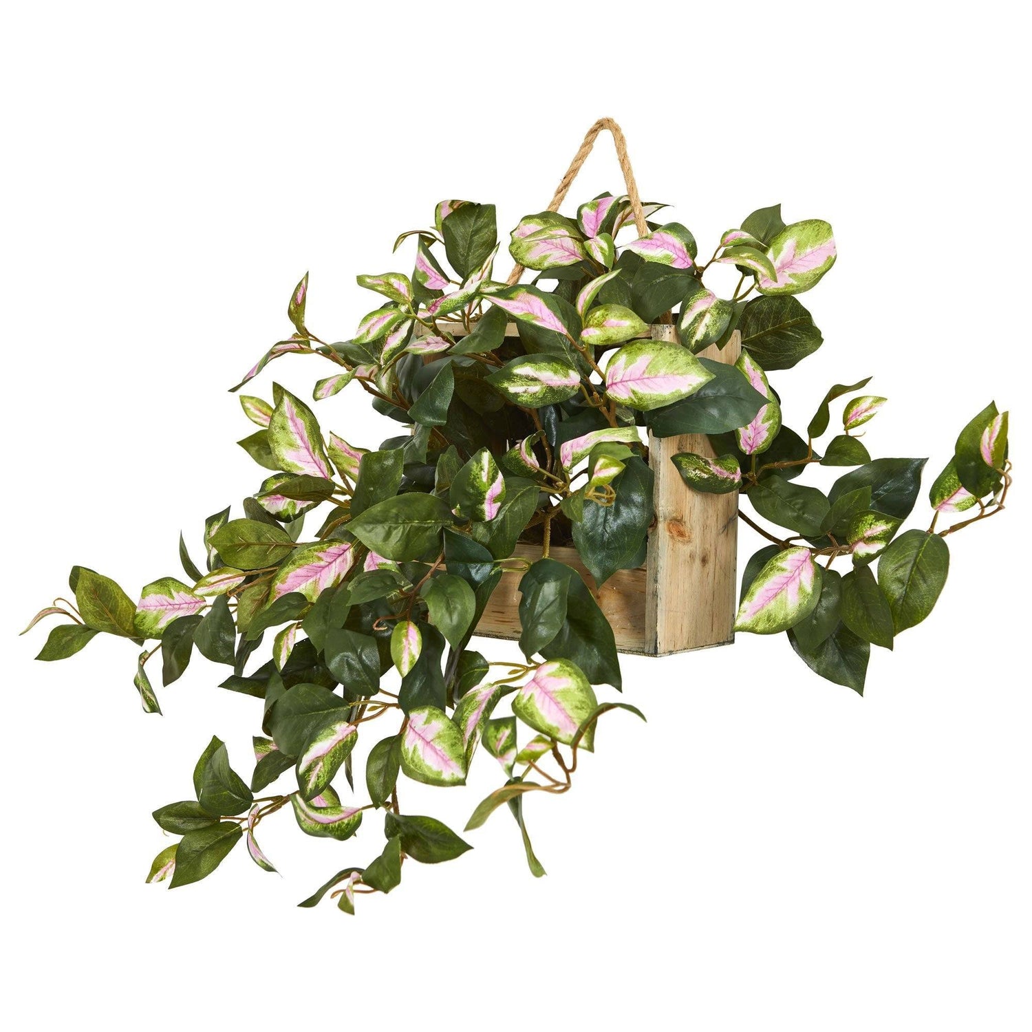 24” Hoya Artificial Plant in Decorative Hanging Frame Nearly Natural