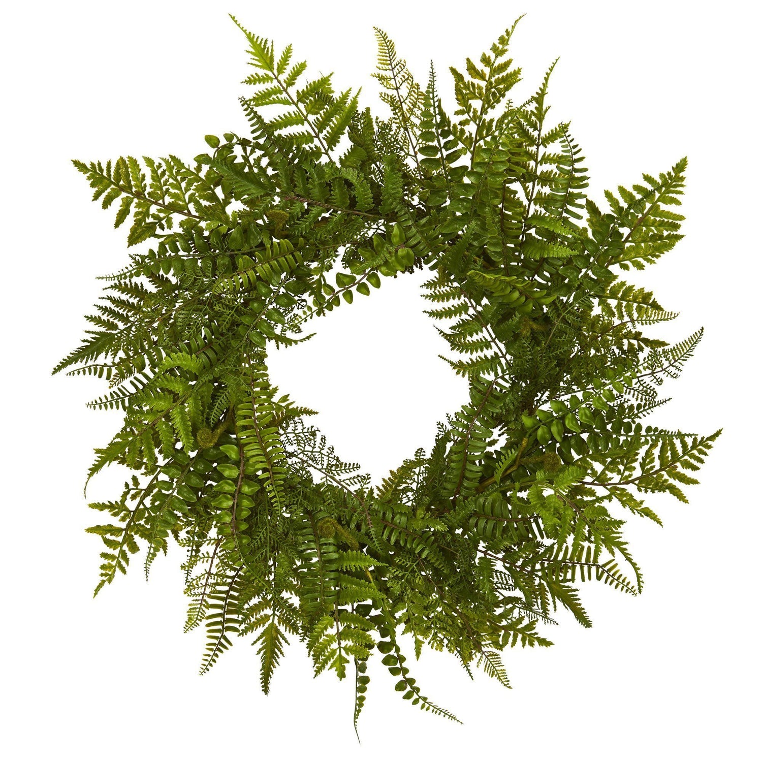24” Mixed Fern Wreath