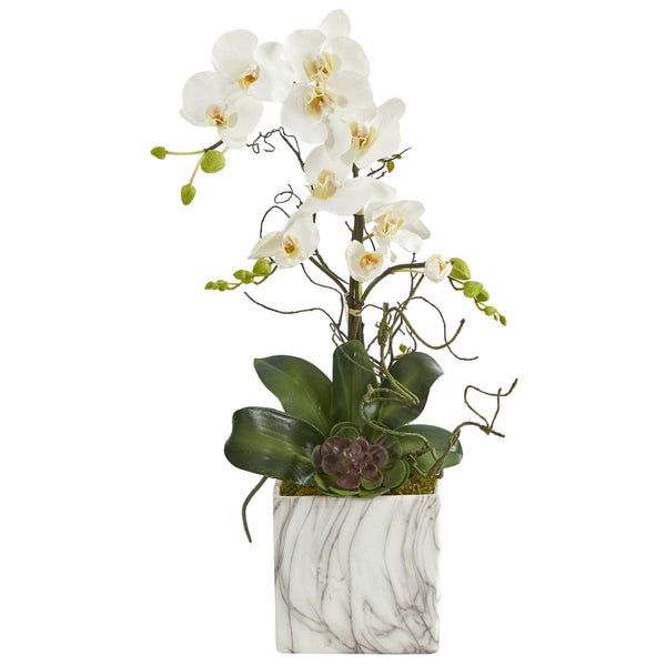 24” Phalaenopsis Orchid and Echeveria Succulent Artificial Arrangement in Marble Finished Vase