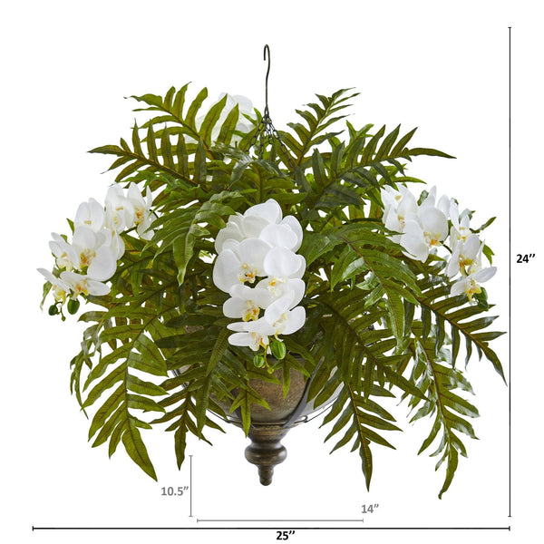 24” Phalaenopsis Orchid and Fern Plant in Metal Hanging Bowl
