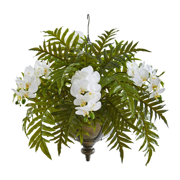 24” Phalaenopsis Orchid and Fern Plant in Metal Hanging Bowl