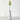 24” Pincushion Artificial Flower (Set of 6)