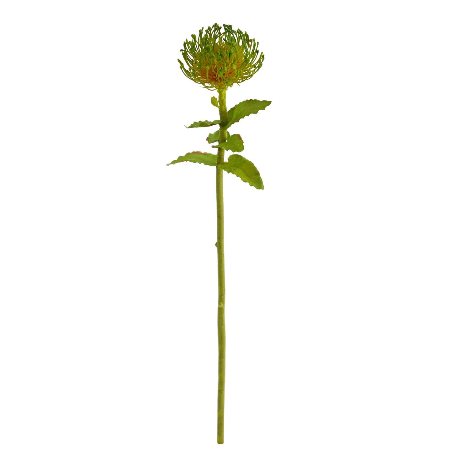 24” Pincushion Artificial Flower (Set of 6)