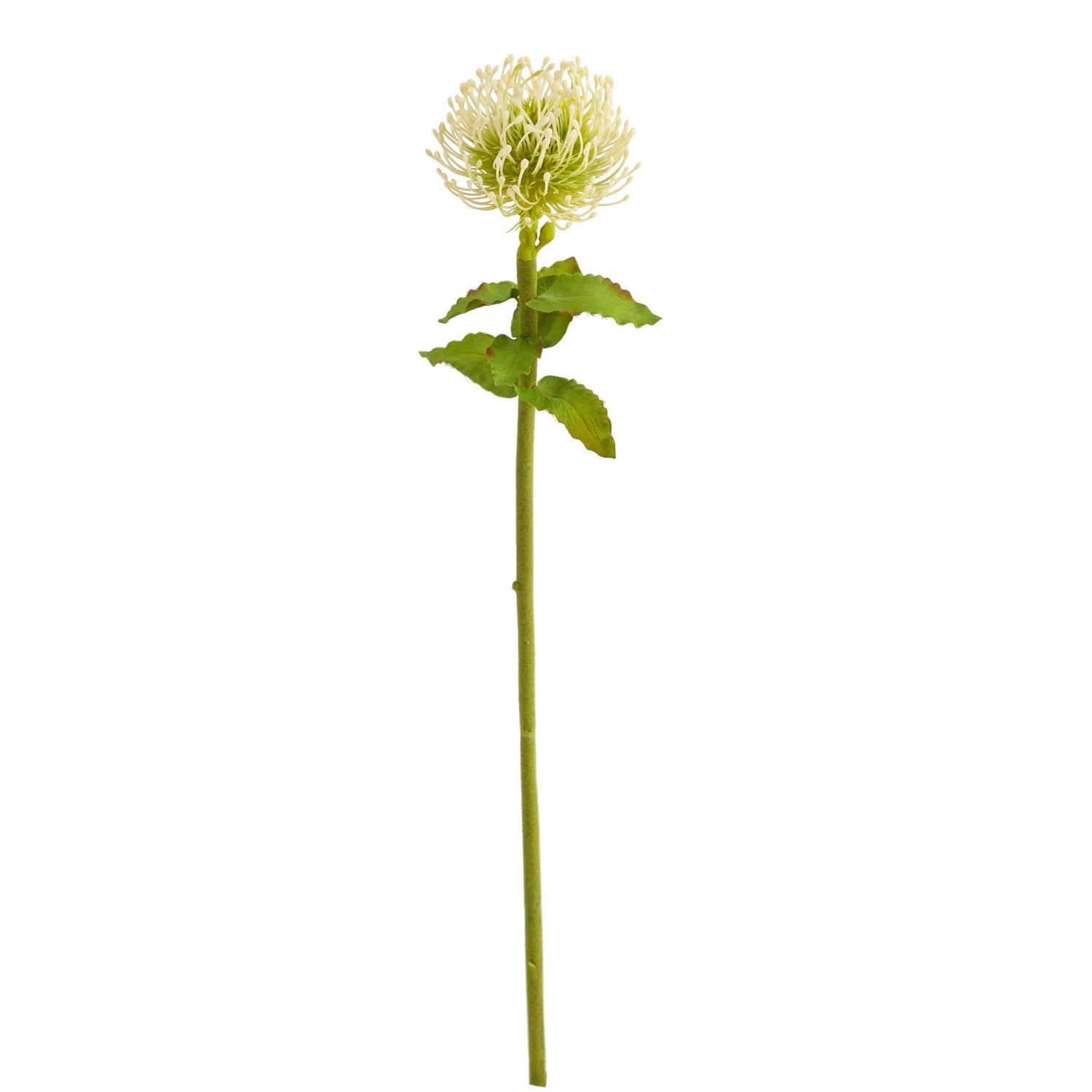 24” Pincushion Artificial Flower (Set of 6)