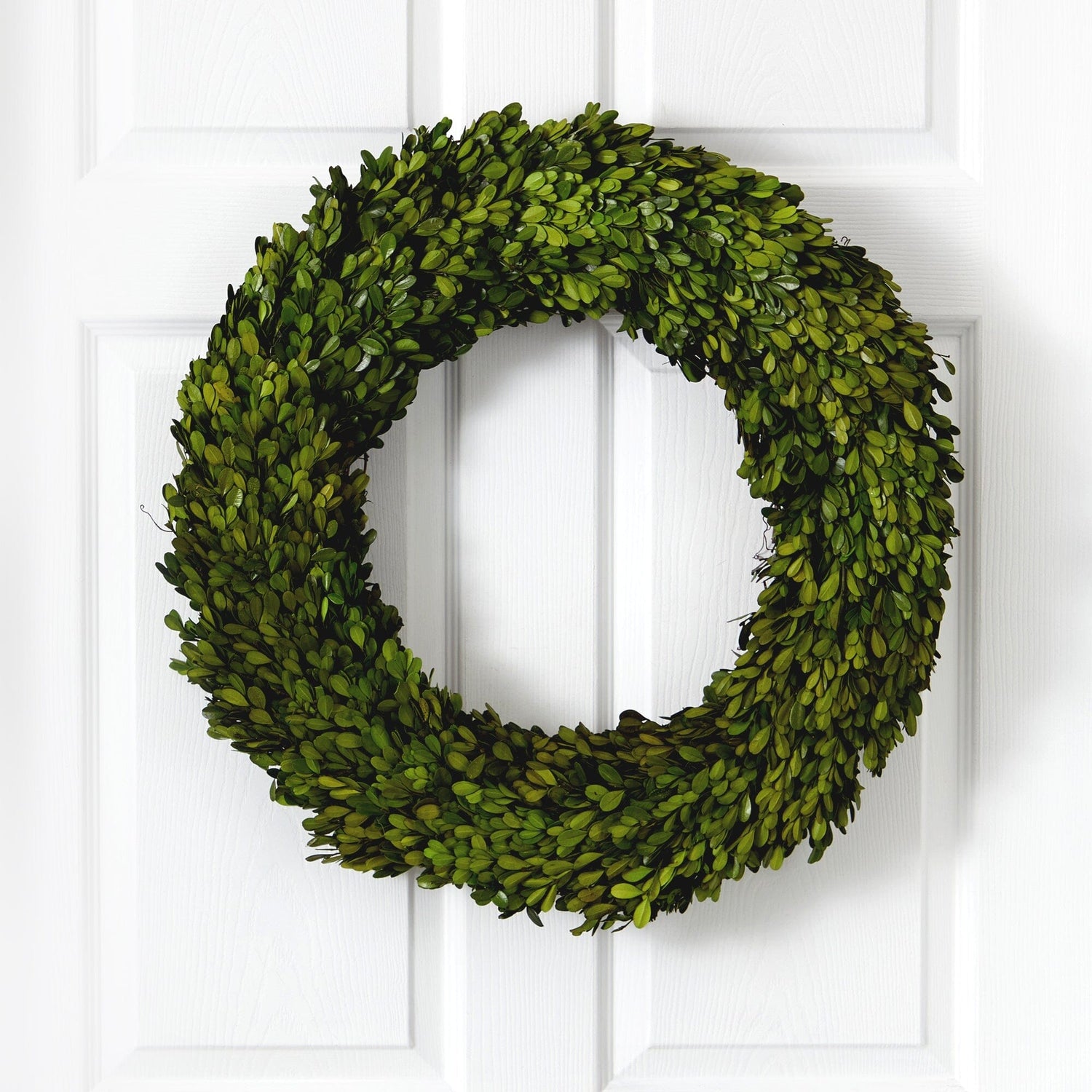 24” Preserved Boxwood Wreath