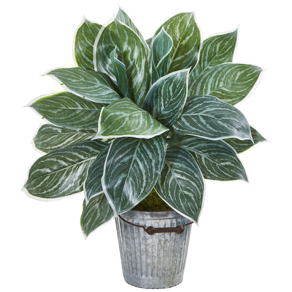 24” Silver Aglonema Artificial Plant in Decorative Bucket (Real Touch)