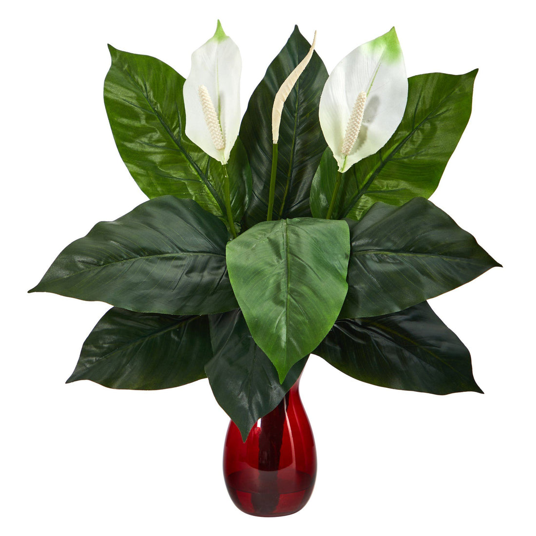 spathiphyllum red peace lily 24” Spathifyllum Artificial Plant in Ruby Planter