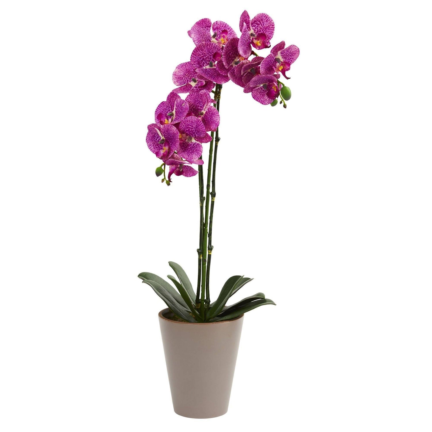 24” Speckled Phalaenopsis Orchid Artificial Arrangement