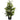 24” Stephanotis Artificial Climbing Plant