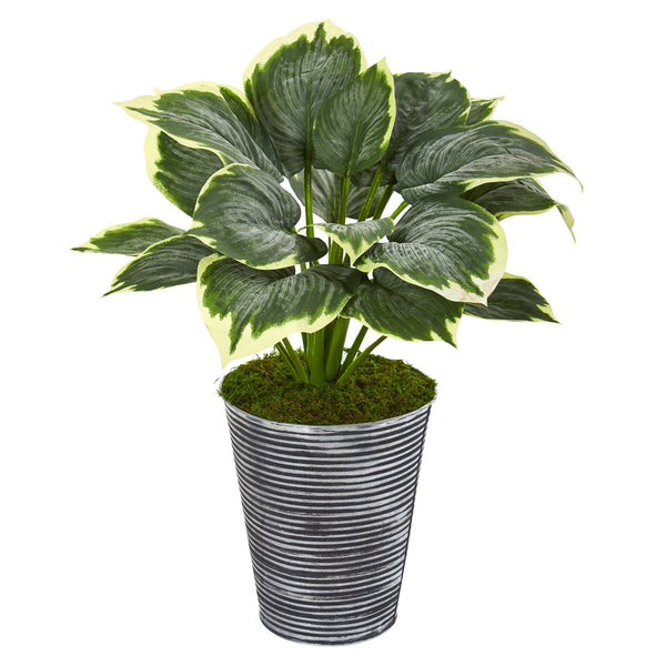 24” Variegated Hosta Artificial Plant in Tin Planter | Nearly Natural
