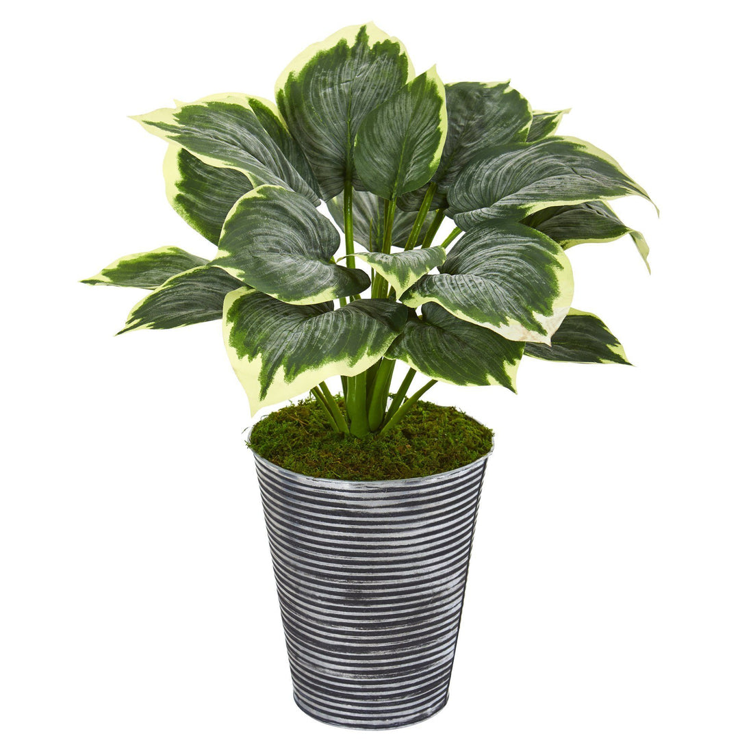 plastic hosta plants 24” Variegated Hosta Artificial Plant in Tin Planter