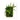 24” x 16” Mixed Foliage Artificial Living Wall