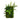 24” x 16” Mixed Foliage Artificial Living Wall